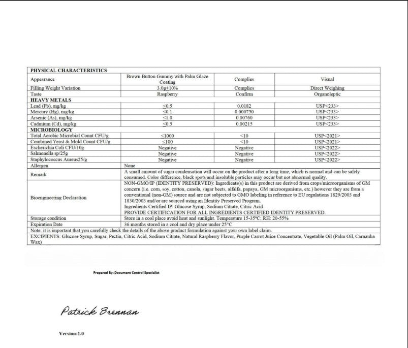 Premium Mushroom Complex Gummies