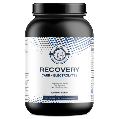 Recovery Carb + Electrolyte (Summer Punch)