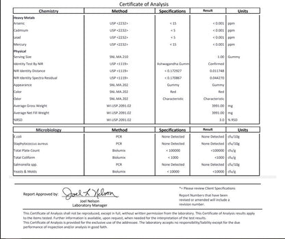 Ashwagandha with Vitamin D and Zinc Gummies