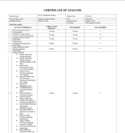 Premium Mushroom Complex Gummies